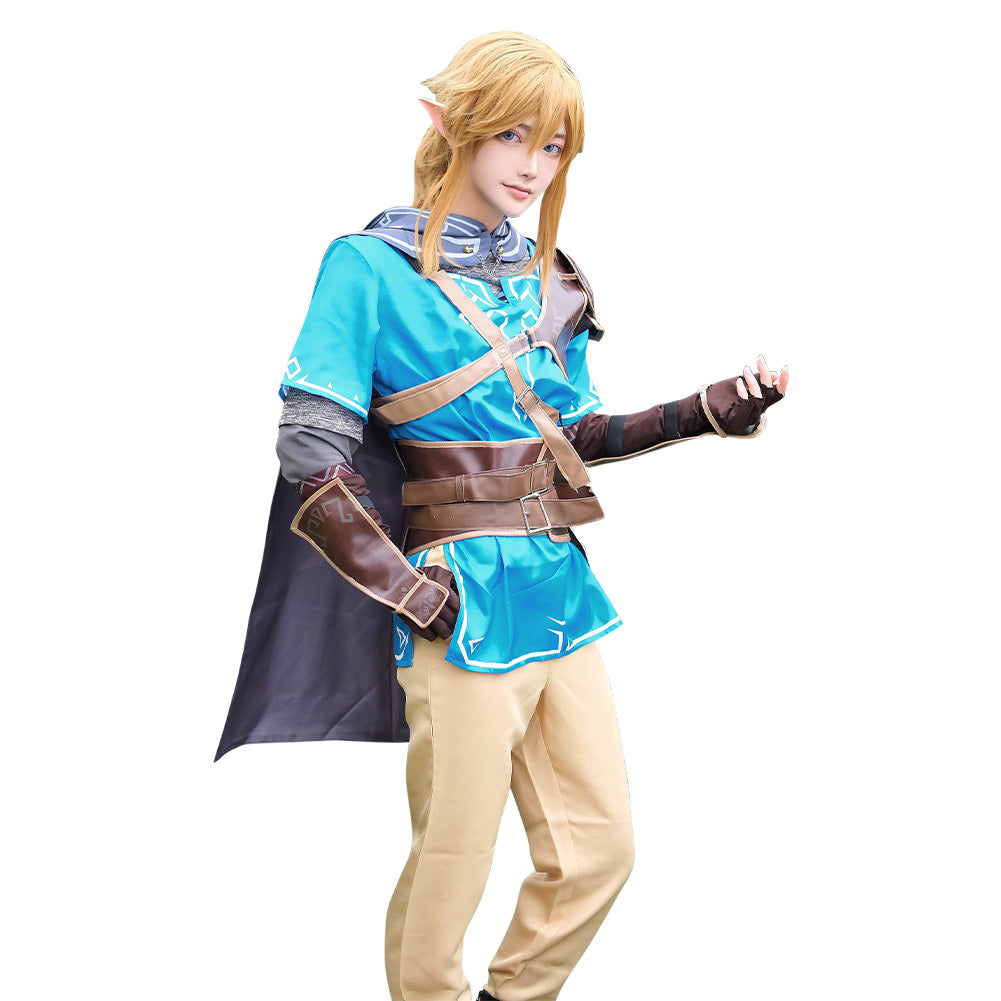 Tears Of The Kingdom Link Costume