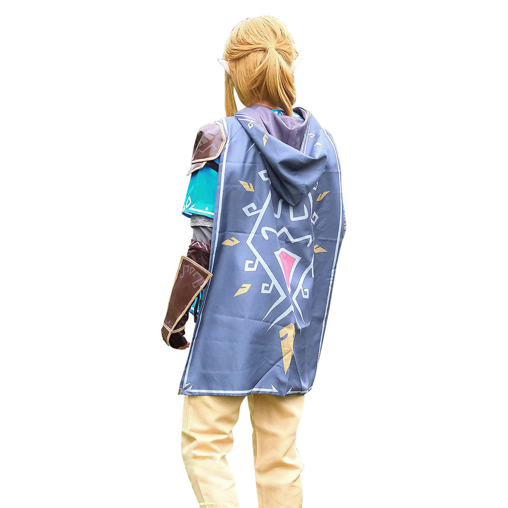 Tears Of The Kingdom Link Costume