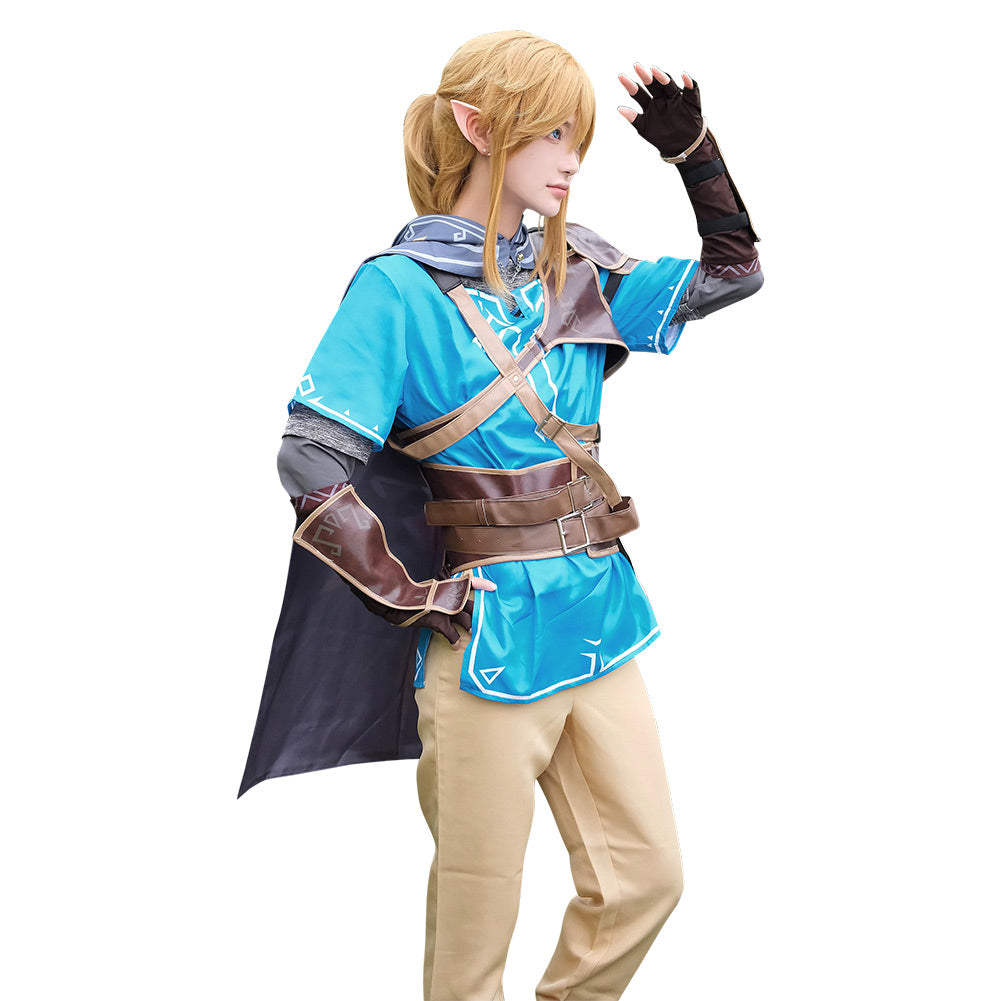 Tears Of The Kingdom Link Costume