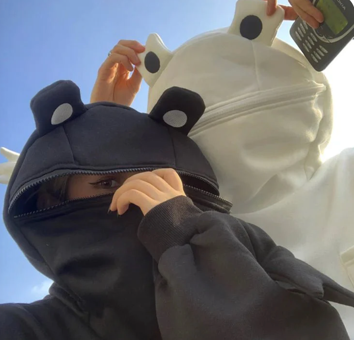 The Frog Hoodie