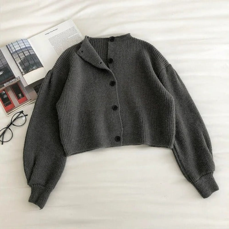 Retro Turtleneck Long Sleeved Sweater For Women Gray One Size