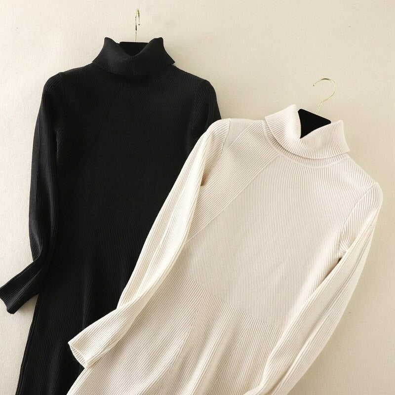 Women's Turtle Neck Simple Design Sweater Top